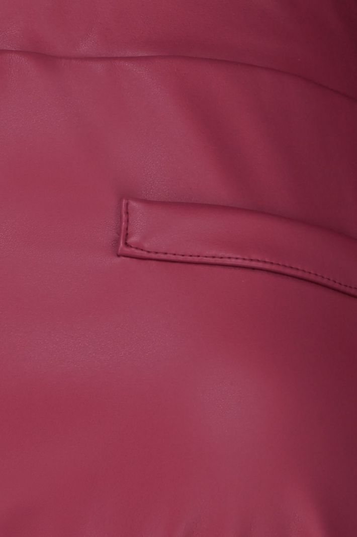 06653 Motor Faux Leather Trousers - Deep Red