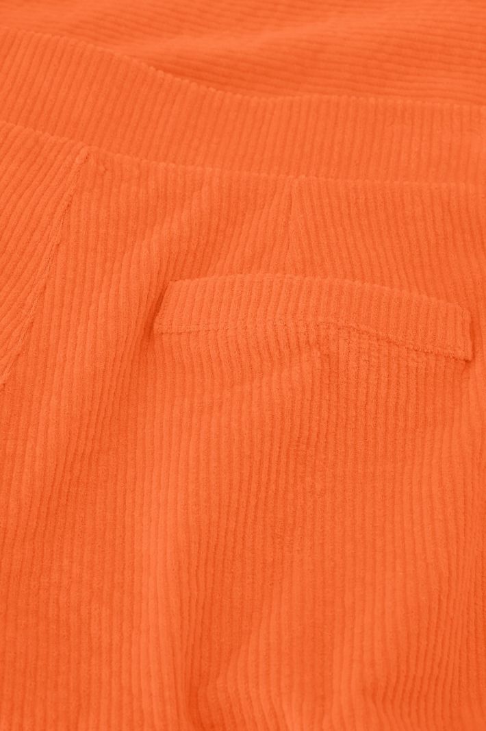 11501 Rixt KINGSDAY Trouser - Oranje