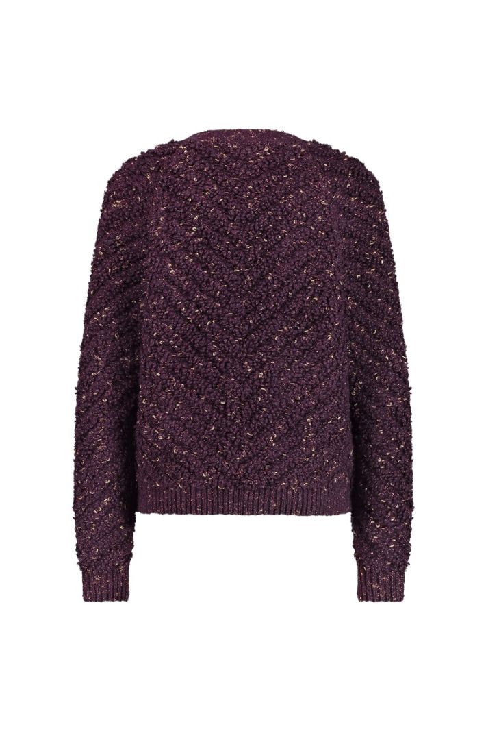 12026 Iris Chunky Glitter Cardigan - Blackberry